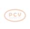 PCV 0001108228 - ARRANQUE AUDI 1.4 KW 12V SEG NEW