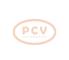 PCV 0001109260 - ARRANQUE AUDI 2.2 KW 12V SEG NEW
