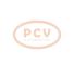 PCV 0001115092 - ARRANQUE FORD 1.7 KW 12V SEG NEW