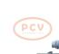 PCV 0001174006 - ARRANQUE VOLKSWAGEN 1.7 KW 12V SEG NEW