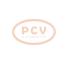 PCV T001S10009 - ARRANQUE NISSAN 2.5 KW 12V SEG NEW
