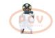 PCV M008T80875AM - ARRANQUE KUBOTA 3.2 KW (BROWN BOX) 24V MITSUBISHI NEW