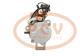 PCV M009T62071AM - ARRANQUE MAN 5.5 KW (BROWN BOX) 24V MITSUBISHI NEW