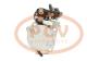 PCV SER81102 - ARRANQUE DEUTZ-FAHR KHD 5.0 KW 24V REMY NEW T/REMY