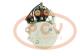 PCV SER81926 - ARRANQUE MERCEDES 5.5 KW 12V REMY NEW T/REMY