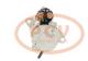 PCV SER81106 - ARRANQUE ISUZU 5.0 KW 24V REMY NEW T/REMY