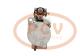 PCV SER81907 - ARRANQUE RENAULT 5.5 KW 24V REMY NEW T/REMY