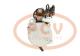 PCV SER81915 - ARRANQUE DEUTZ 5.5 KW 24V REMY NEW T/REMY (1191)