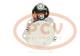 PCV 31249P - ARRANQUE FIAT 1.4 KW 12V PCV NEW