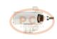 PCV 5930P - ARRANQUE BRIGGS STRATTON 0.5 KW 12V PCV NEW