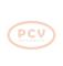 PCV A13VI11P - ALTERNADOR RENAULT 110A 12V PCV NEW T/VALEO