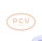 PCV CG25S044P - ALTERNADOR MERCEDES 250A 12V PCV NEW T/VALEO