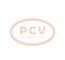 PCV FG15T151P - ALTERNADOR CITROëN/PEUGEOT 150A 12V PCV NEW T/VALEO