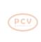 PCV FG23S026P - ALTERNADOR VOLKSWAGEN 220A 12V PCV NEW T/VALEO