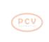 PCV SG12B124P - ALTERNADOR RENAULT 120A 12V PCV NEW T/VALEO