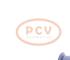 PCV SG12B124P - ALTERNADOR RENAULT 120A 12V PCV NEW T/VALEO