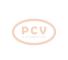 PCV SG12S019P - ALTERNADOR RENAULT 120A 12V PCV NEW T/VALEO