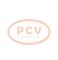 PCV 0.120.488.287P - ALTERNADOR FIAT 65A 12V PCV NEW T/BOSCH