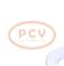 PCV 0.120.489.091P - ALTERNADOR FORD 55A 12V PCV NEW T/BOSCH