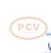 PCV 0.120.489.091P - ALTERNADOR FORD 55A 12V PCV NEW T/BOSCH