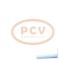 PCV 0.120.489.248P - ALTERNADOR AUDI 65A 12V PCV NEW T/BOSCH