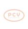 PCV 0.120.489.427P - ALTERNADOR VOLKSWAGEN 55A 12V PCV NEW T/BOSCH