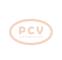 PCV 0.120.689.504P - ALTERNADOR DAF 95A 24V PCV NEW T/BOSCH