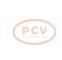 PCV 0.120.689.504P - ALTERNADOR DAF 95A 24V PCV NEW T/BOSCH