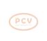 PCV 0.121.813.020P - ALTERNADOR MERCEDES 220A 12V PCV NEW T/BOSCH