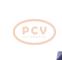 PCV 0.124.615.008P - ALTERNADOR AUDI 150A 12V PCV NEW T/BOSCH