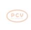 PCV 0.124.655.077P - ALTERNADOR VOLVO 120A 24V PCV NEW T/BOSCH