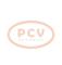 PCV 0.124.655.453P - ALTERNADOR VOLVO 120A 24V PCV NEW T/BOSCH