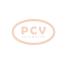 PCV 0.124.655.666P - ALTERNADOR MERCEDES-BENZ 110A 24V PCV NEW T/BOSCH