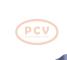 PCV 13502592P - ALTERNADOR OPEL 100A 12V PCV NEW T/DELCO REMY