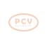 PCV 1012112970P - ALTERNADOR SUZUKI 50A 12V PCV NEW T/DENSO