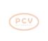 PCV 1042103043P - ALTERNADOR TOYOTA 130A 12V PCV NEW T/DENSO