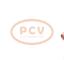 PCV 1042113980P - ALTERNADOR SUZUKI 130A 12V PCV NEW T/DENSO