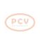 PCV 1022114150P - ALTERNADOR HINO 60A 24V PCV NEW T/DENSO