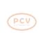 PCV 1022114150P - ALTERNADOR HINO 60A 24V PCV NEW T/DENSO