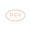 PCV DAN1434 - ALTERNADOR TOYOTA 100A 12V DENSO NEW