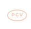 PCV DAN1434 - ALTERNADOR TOYOTA 100A 12V DENSO NEW
