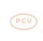 PCV DAN1434 - ALTERNADOR TOYOTA 100A 12V DENSO NEW