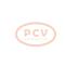 PCV 0124525220 - ALTERNADOR VOLKSWAGEN/AUDI 140A 12V SEG NEW