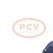 PCV 0124525220 - ALTERNADOR VOLKSWAGEN/AUDI 140A 12V SEG NEW