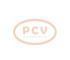 PCV F000BL07H1 - ALTERNADOR VOLKSWAGEN 110A 12V SEG NEW