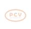 PCV 0120488319 - ALTERNADOR CUMMINS 45A 24V SEG NEW