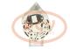 PCV LEA1210 - ALTERNADOR CASE 120A 12V LUCAS NEW