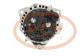 PCV SAL92069 - ALTERNADOR MAN 120A 24V REMY NEW