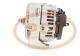 PCV 12589P - ALTERNADOR DAF 80A 24V PCV NEW