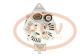 PCV 12776P - ALTERNADOR CASE INTERNATIONAL 90A 12V PCV NEW